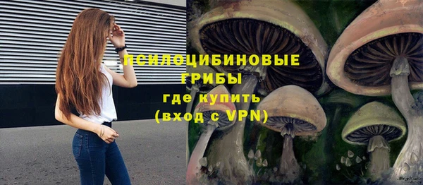 гашик Усинск