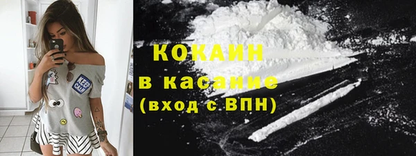 мяу мяу мука Покачи