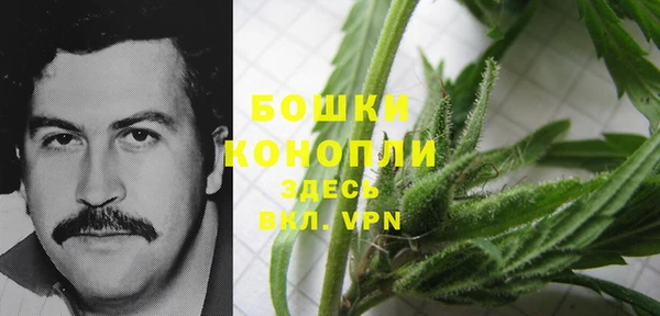 мдпв Покровск